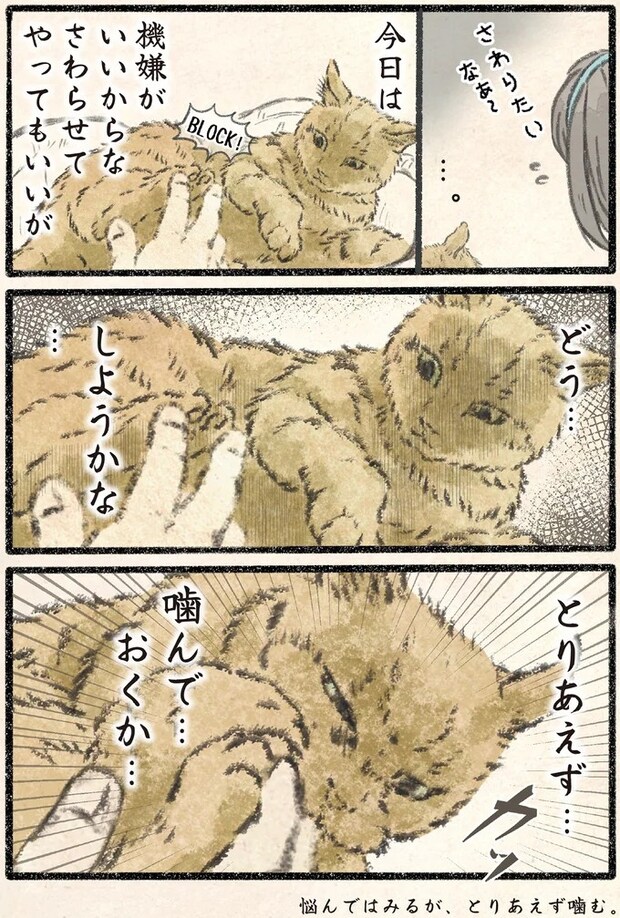 23.webp