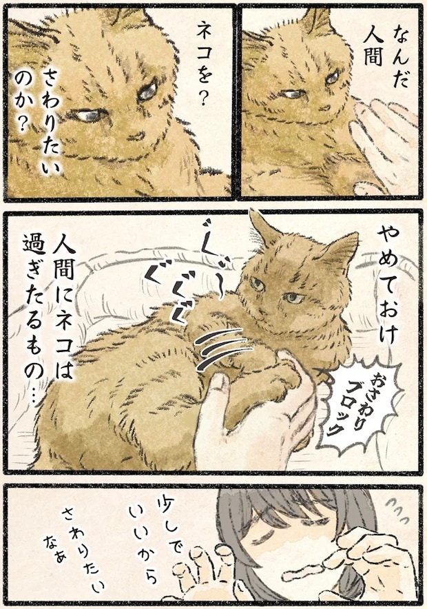 22.webp