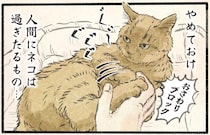 「人間にネコは過ぎたるもの」機嫌がいいから触らせてやってもいいが...／今日もネコ様の圧が強い2