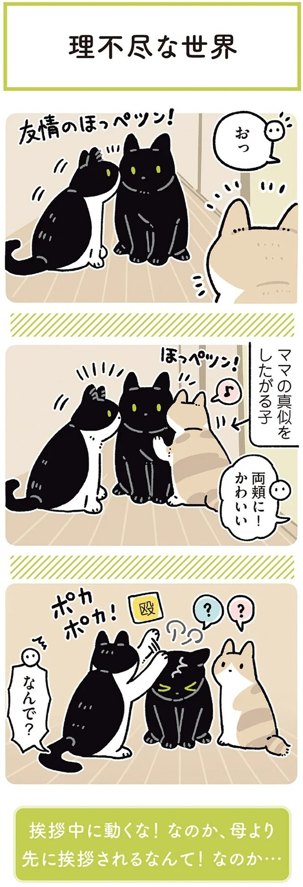 15986813.webp