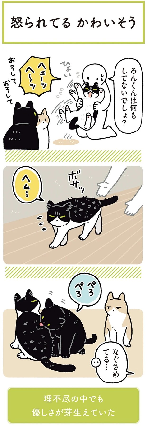 15986814.webp