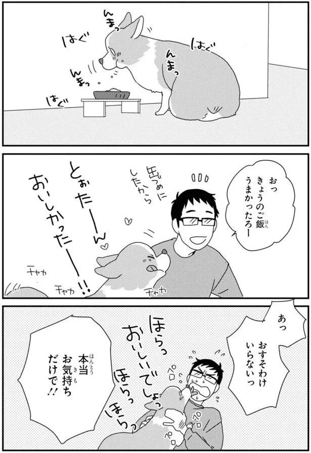 15923070.webp
