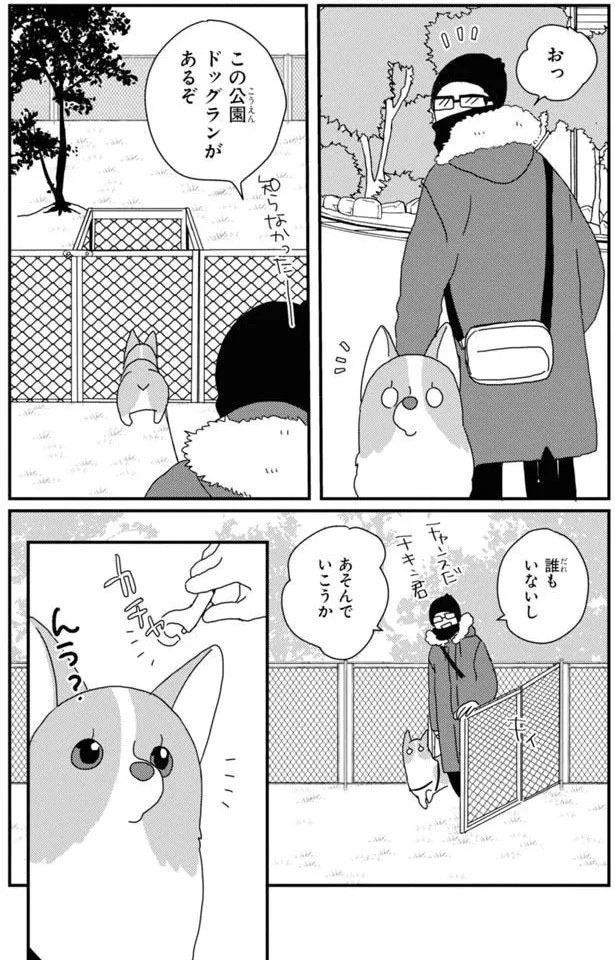15923067.webp