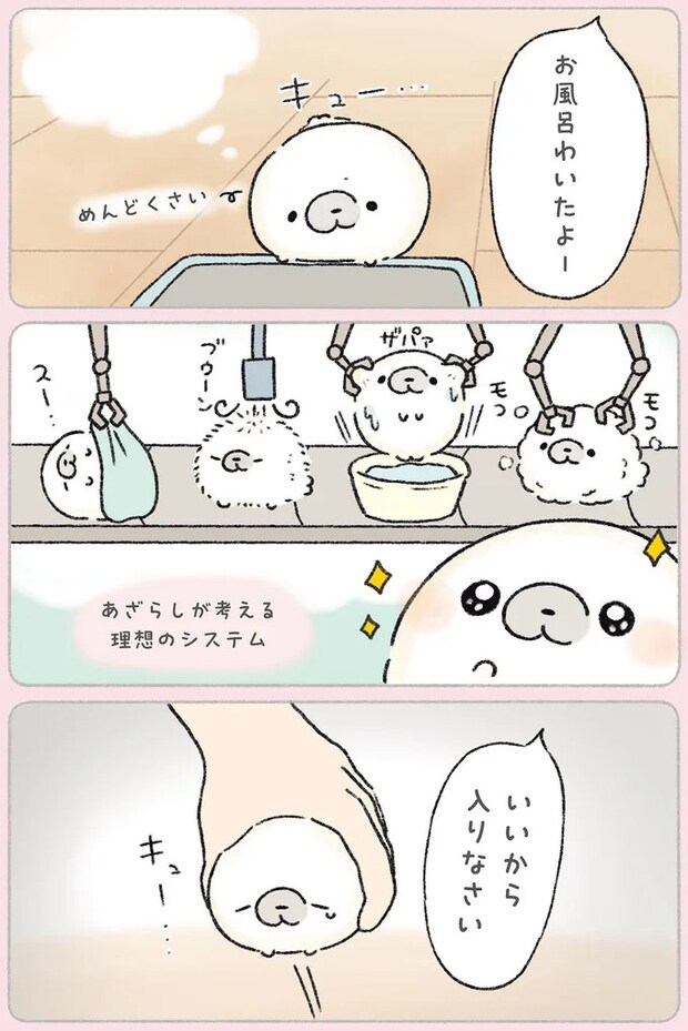 21.webp