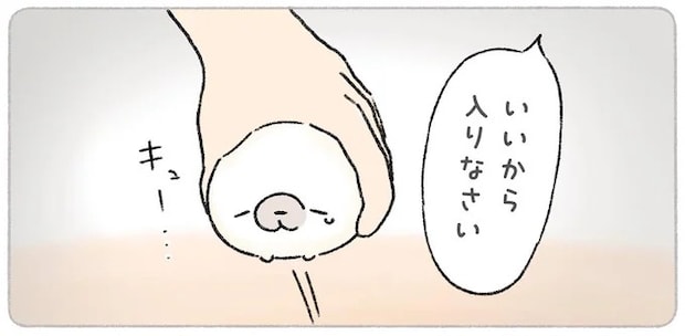 こうだったらいいのになぁ。お風呂がめんどくさいあざらしが考える理想の入浴／ちょこんとあざらし