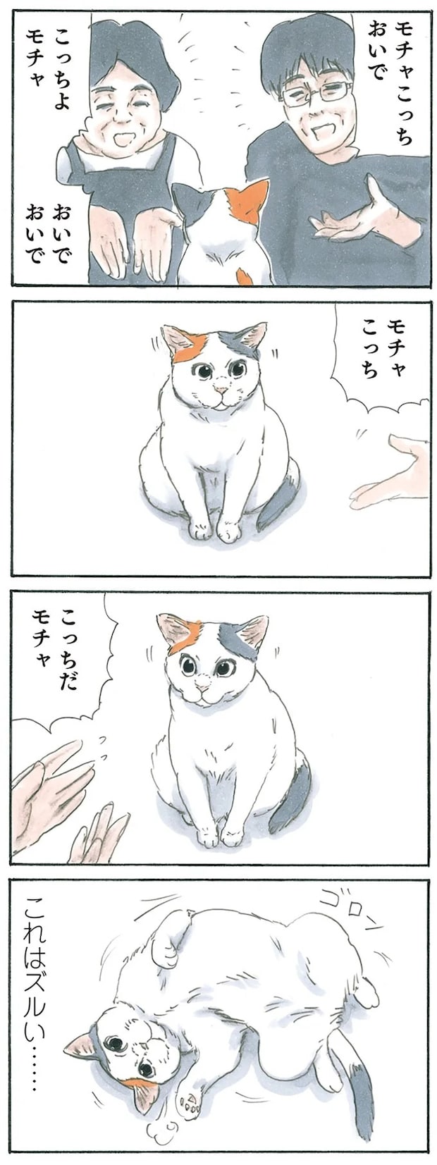 13238822.webp