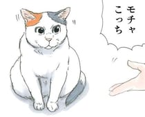 父と母に同時に呼ばれた猫。そのリアクションはずるい！／拾い猫のモチャ5