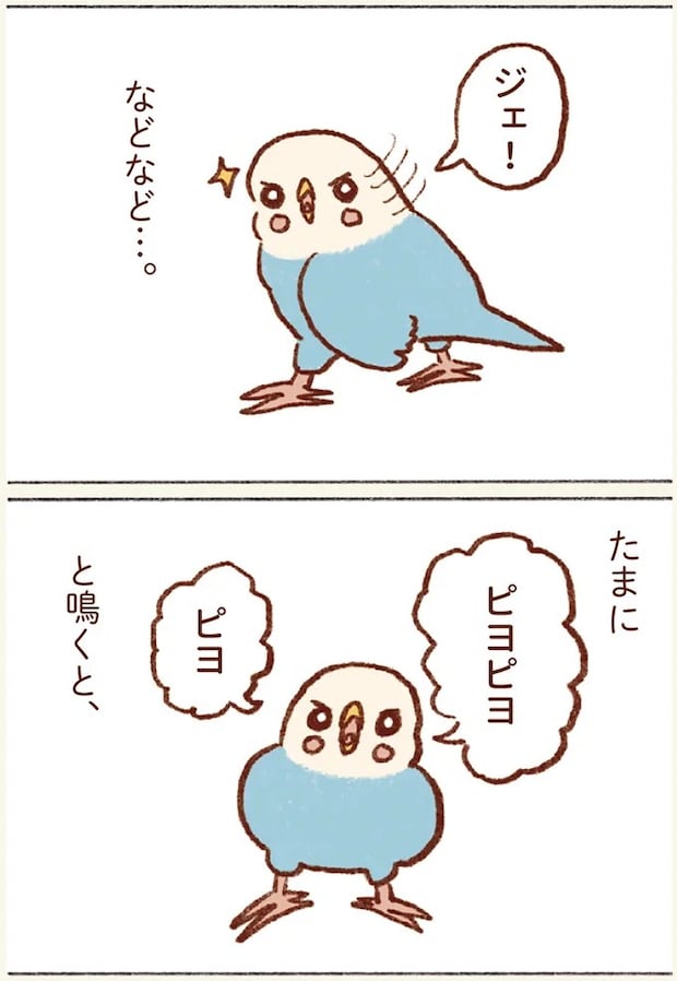 14.webp