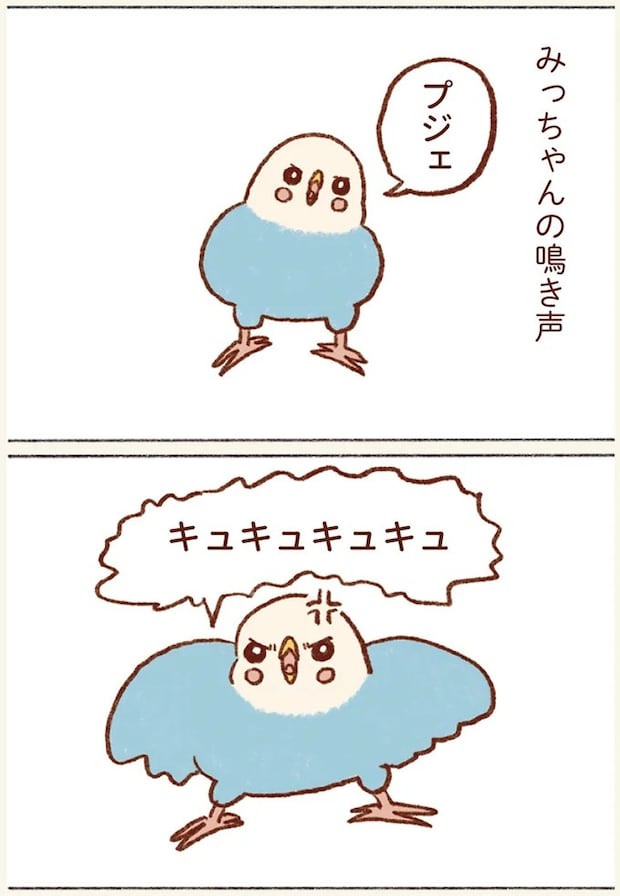 11.webp