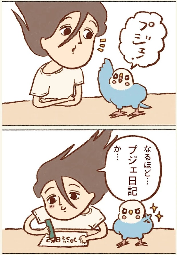 17.webp