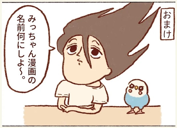 16.webp