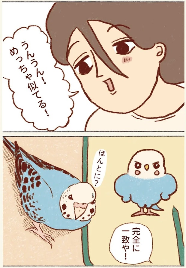 19.webp