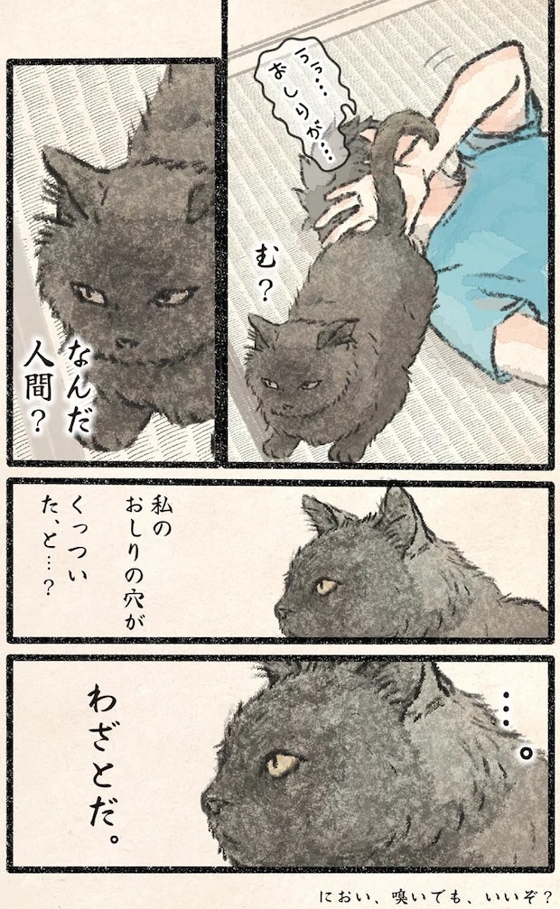 32.webp