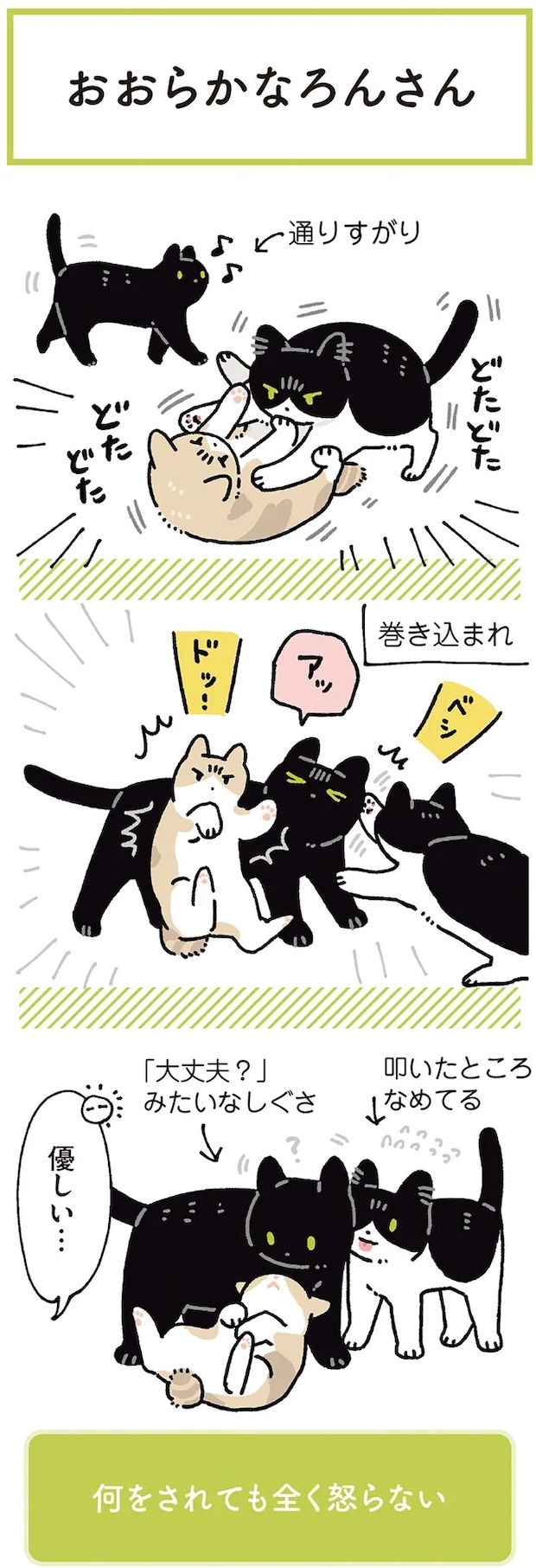 15986819.webp