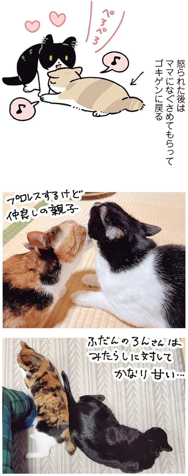 15986822.webp