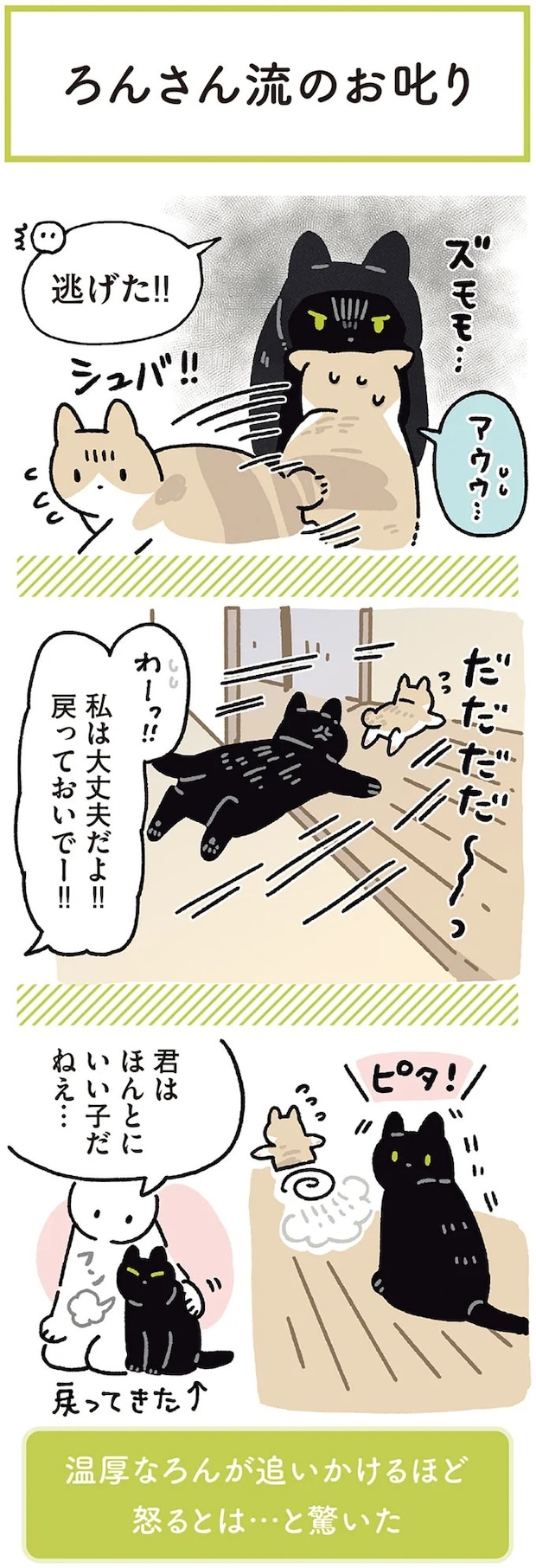 15986821.webp