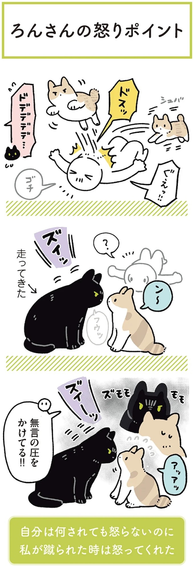 15986820.webp