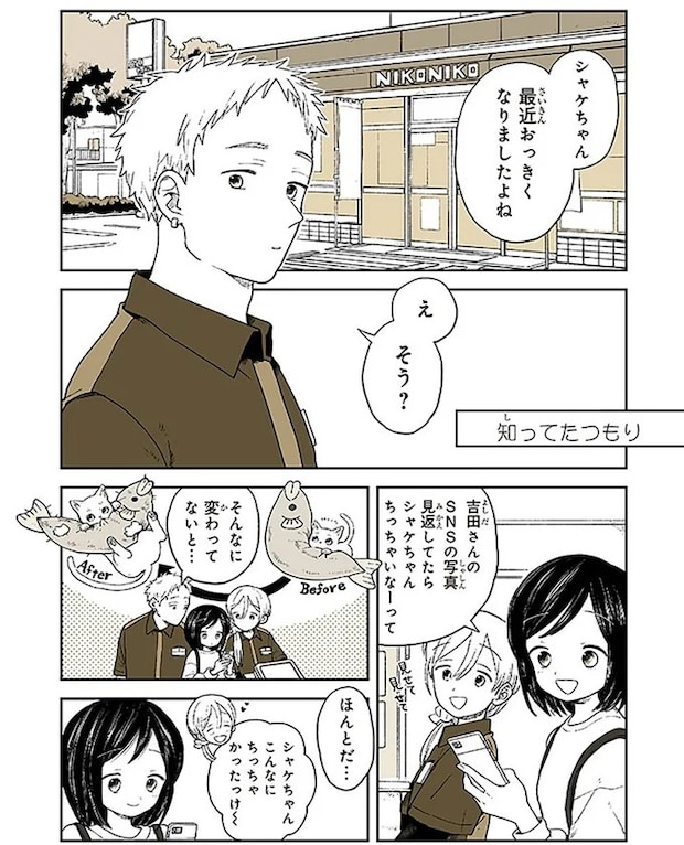15667052.webp