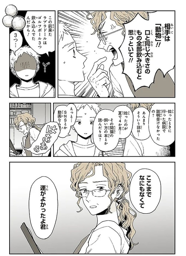 15667058.webp