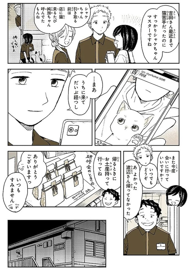 15667053.webp