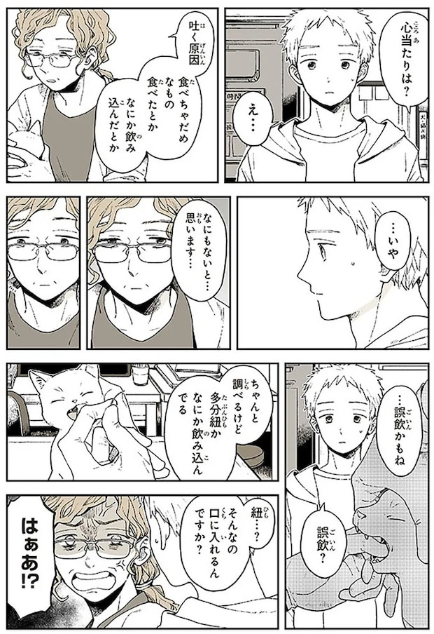 15667057.webp