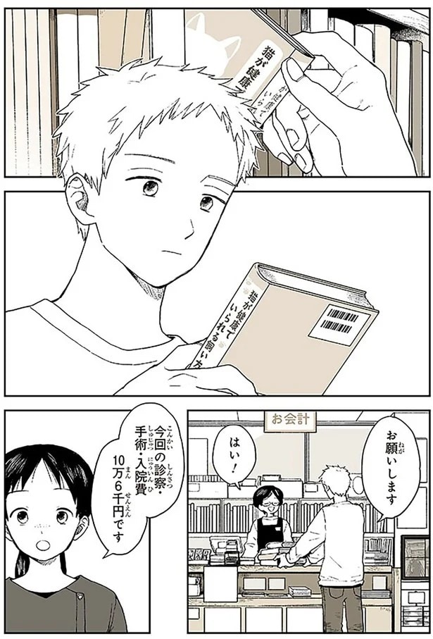 15678937.webp