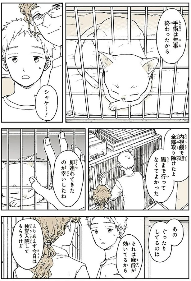 15678927.webp