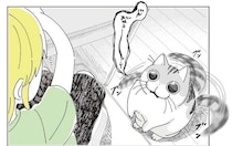 素手で来いと？ 愛猫と猫じゃらしで遊んでいたら...え？／夜は猫といっしょ7