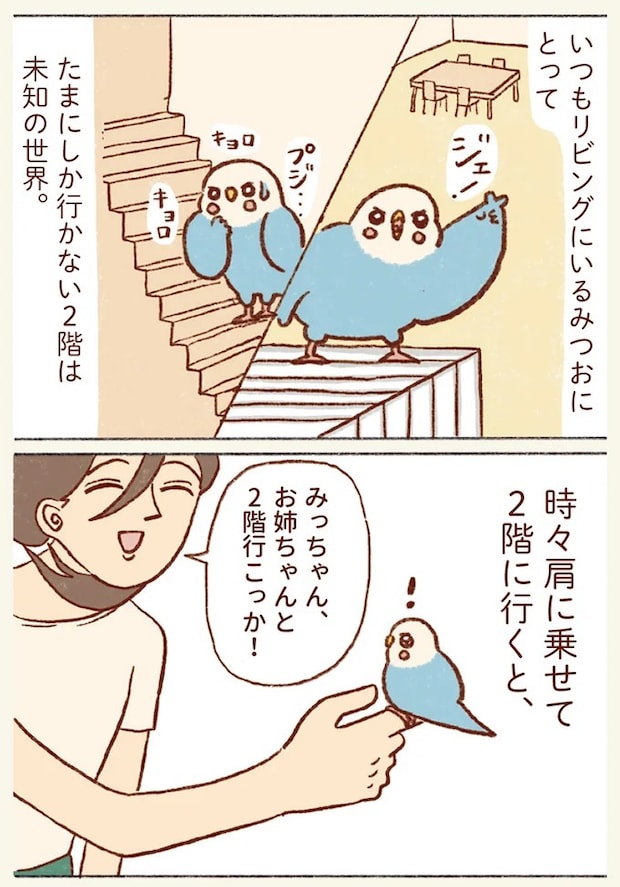 21.webp