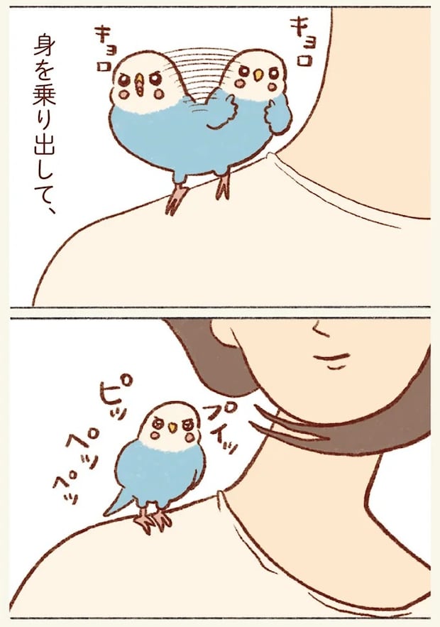 22.webp