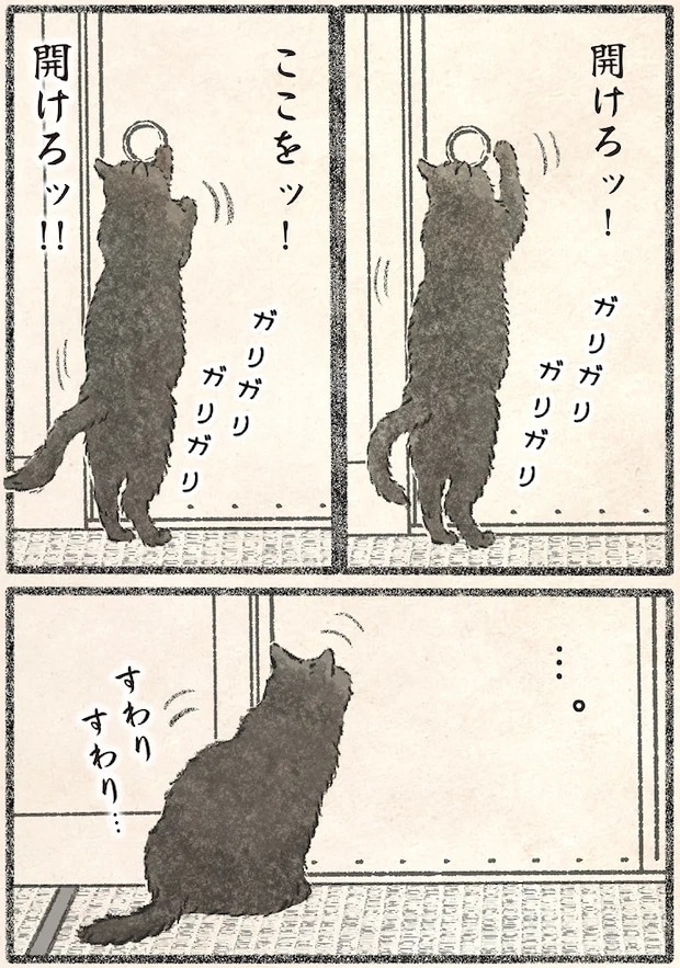 41.webp