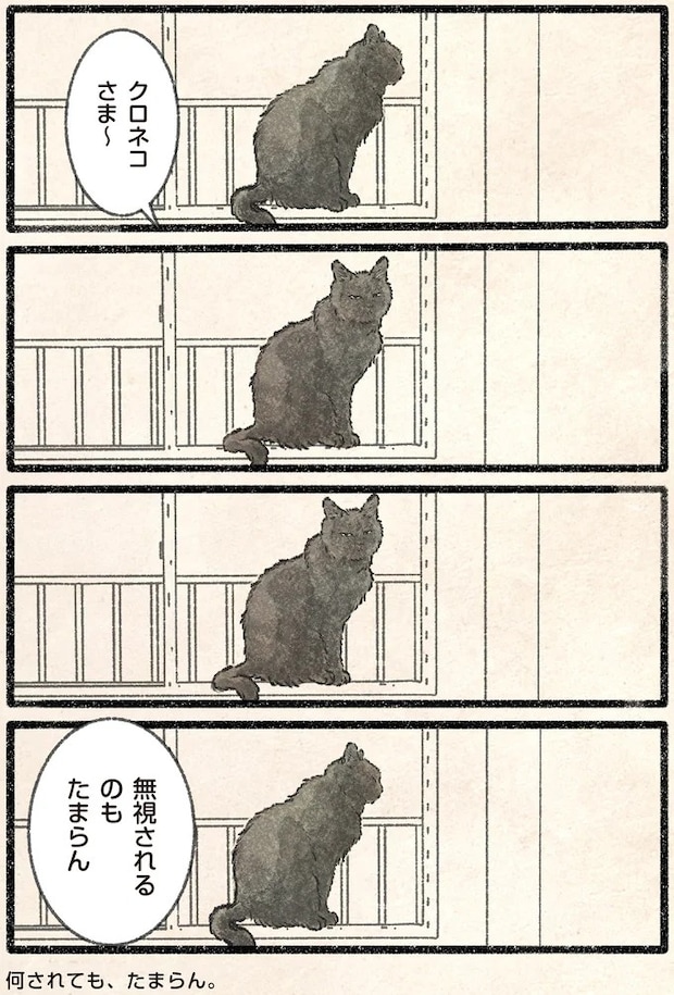 44.webp