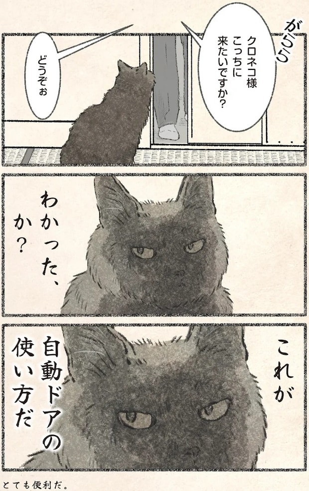 42.webp