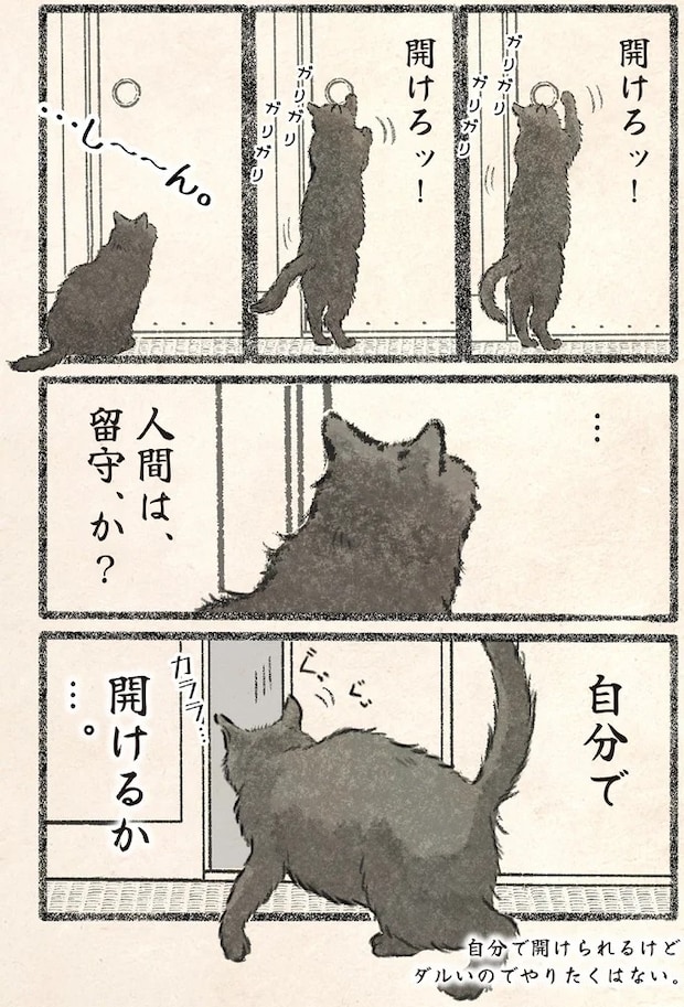 43.webp