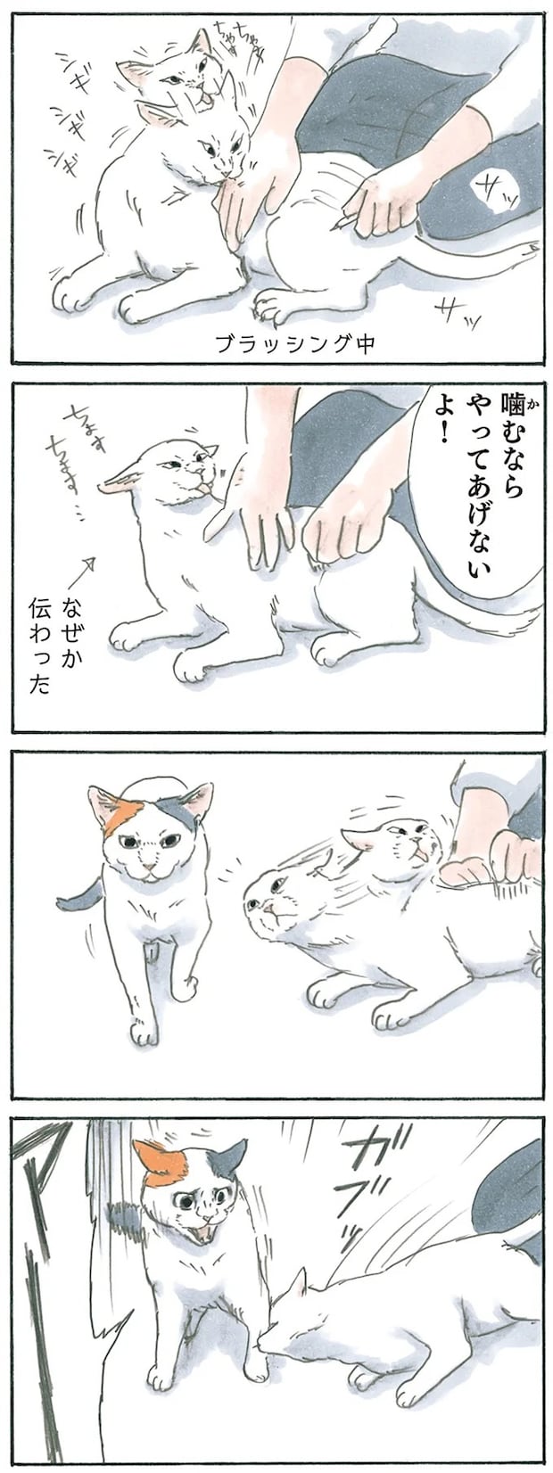 13238831.webp