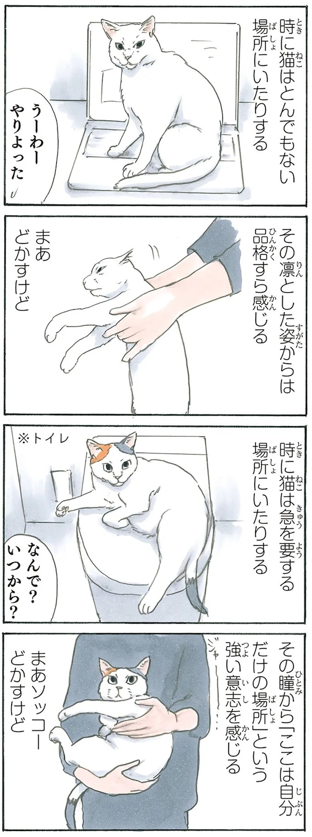 13238830.webp
