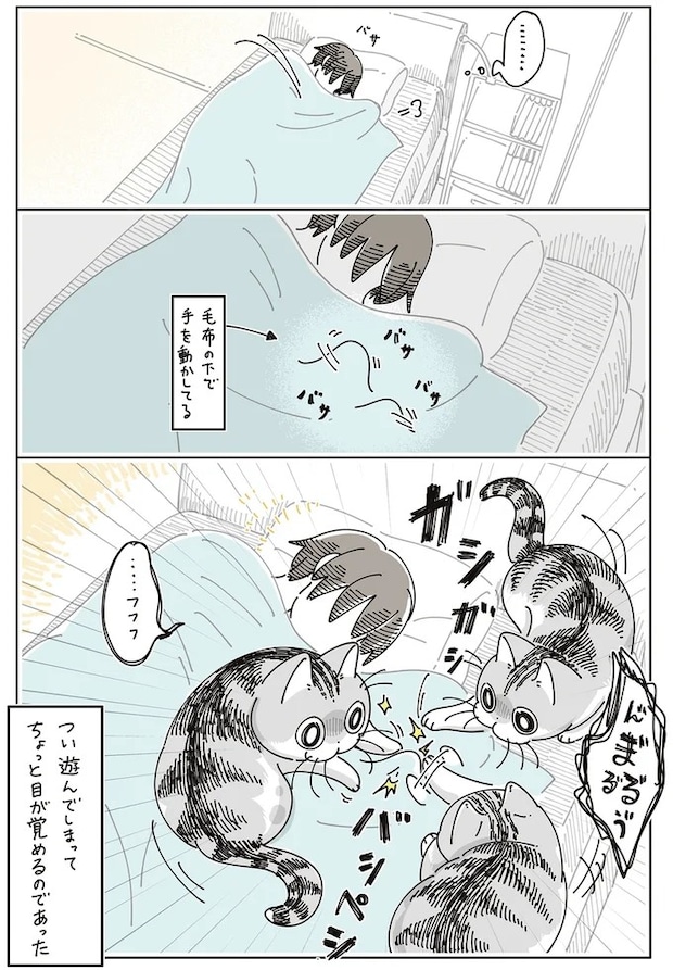 16061312.webp