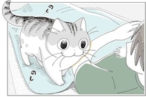 昼寝をするはずだったのに！ 愛猫がやって来て、つい遊びモードに...／夜は猫といっしょ7