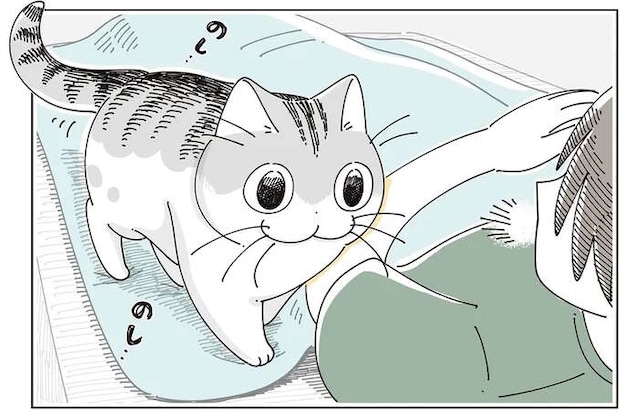 昼寝をするはずだったのに！ 愛猫がやって来て、つい遊びモードに...／夜は猫といっしょ7