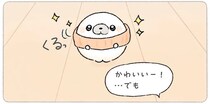 「寒いから買ってみたよ」あざらしがネックウォーマーだと喜んだのに、実は...!?／ちょこんとあざらし