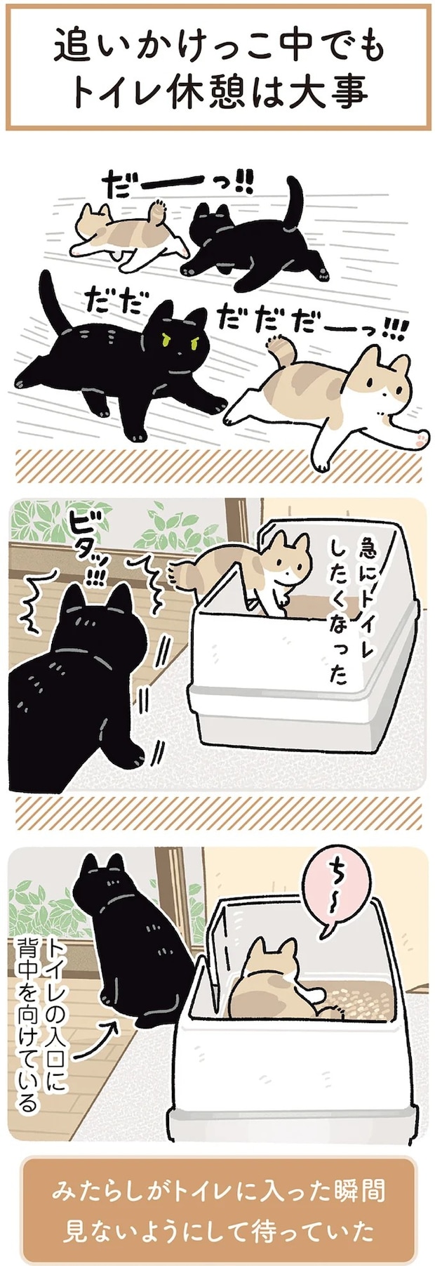 15986827.webp