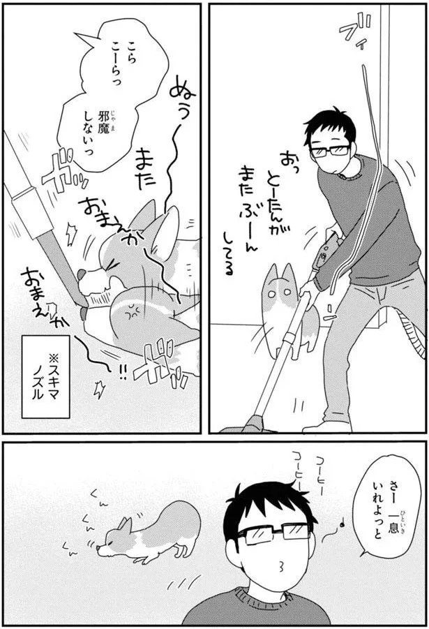 15923073.webp