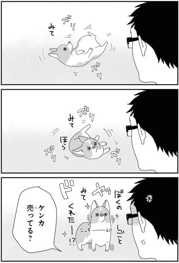 15923075.webp