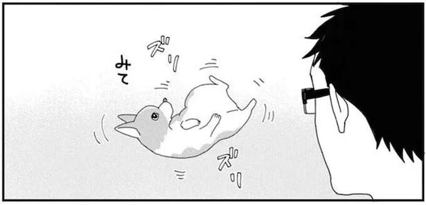 ぶーんは嫌い！ ワンコと飼い主、お掃除後の不毛なバトル／あしょんでよッ7