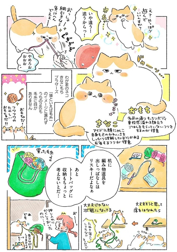 06-03.webp