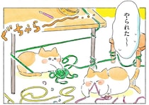 毛糸をネコたちから守るために。編み物道具を収納するグッズ選びも楽しい！／かぎ針編みはじめました