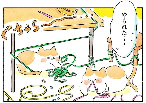 毛糸をネコたちから守るために。編み物道具を収納するグッズ選びも楽しい!/かぎ針編みはじめました