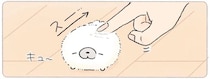 パヤパヤ冬毛になってきたあざらしを触ってみてわかったこと／ちょこんとあざらし