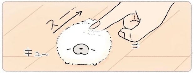 パヤパヤ冬毛になってきたあざらしを触ってみてわかったこと／ちょこんとあざらし