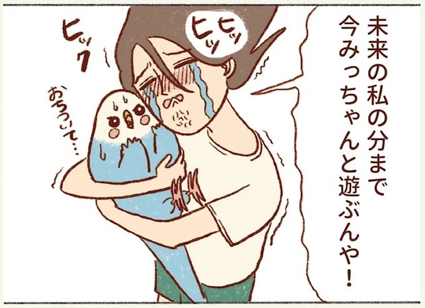 34.webp